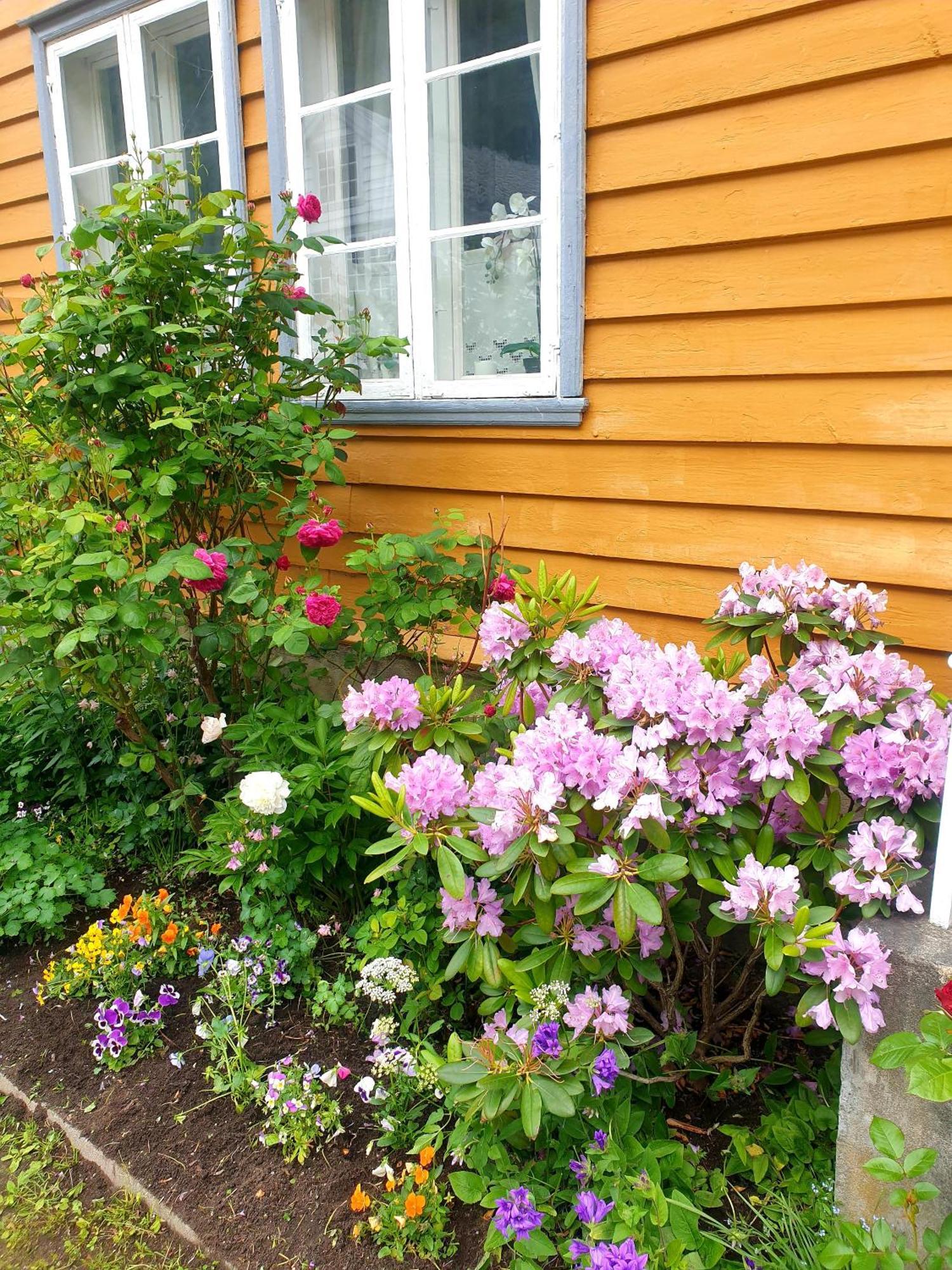 Kvammehuset Pa Gamle Laerdalsoyriヴィラ エクステリア 写真