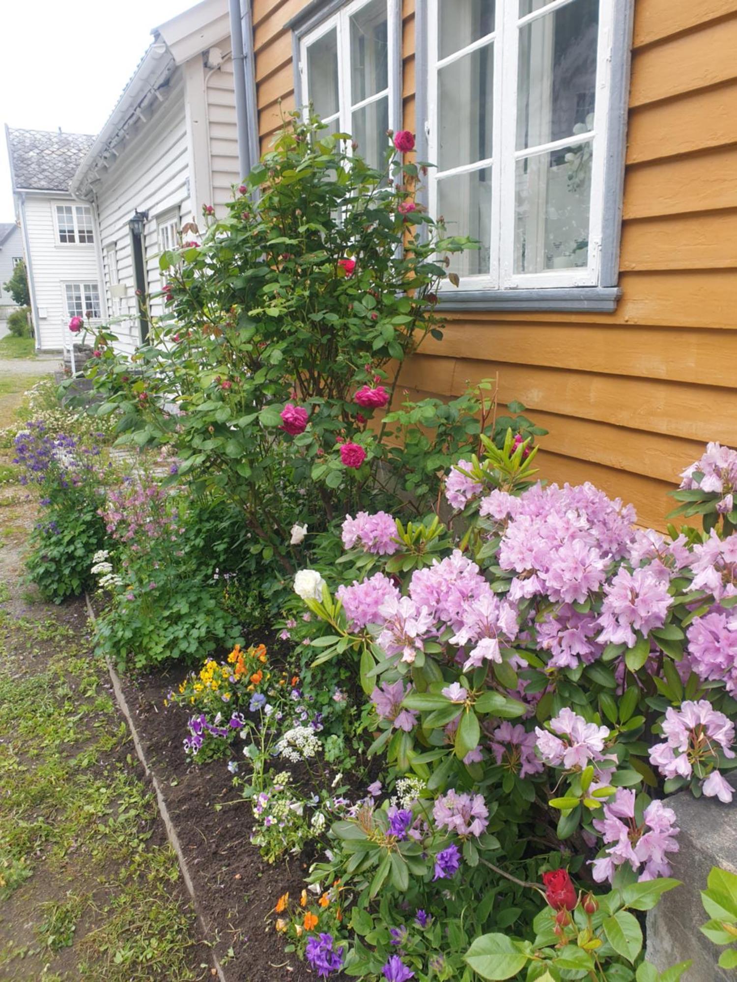 Kvammehuset Pa Gamle Laerdalsoyriヴィラ エクステリア 写真