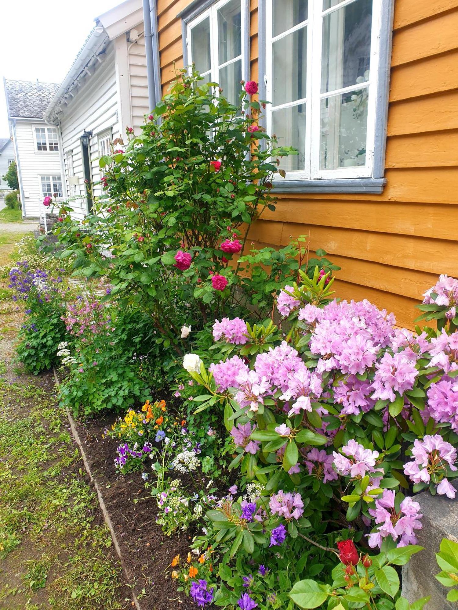 Kvammehuset Pa Gamle Laerdalsoyriヴィラ エクステリア 写真